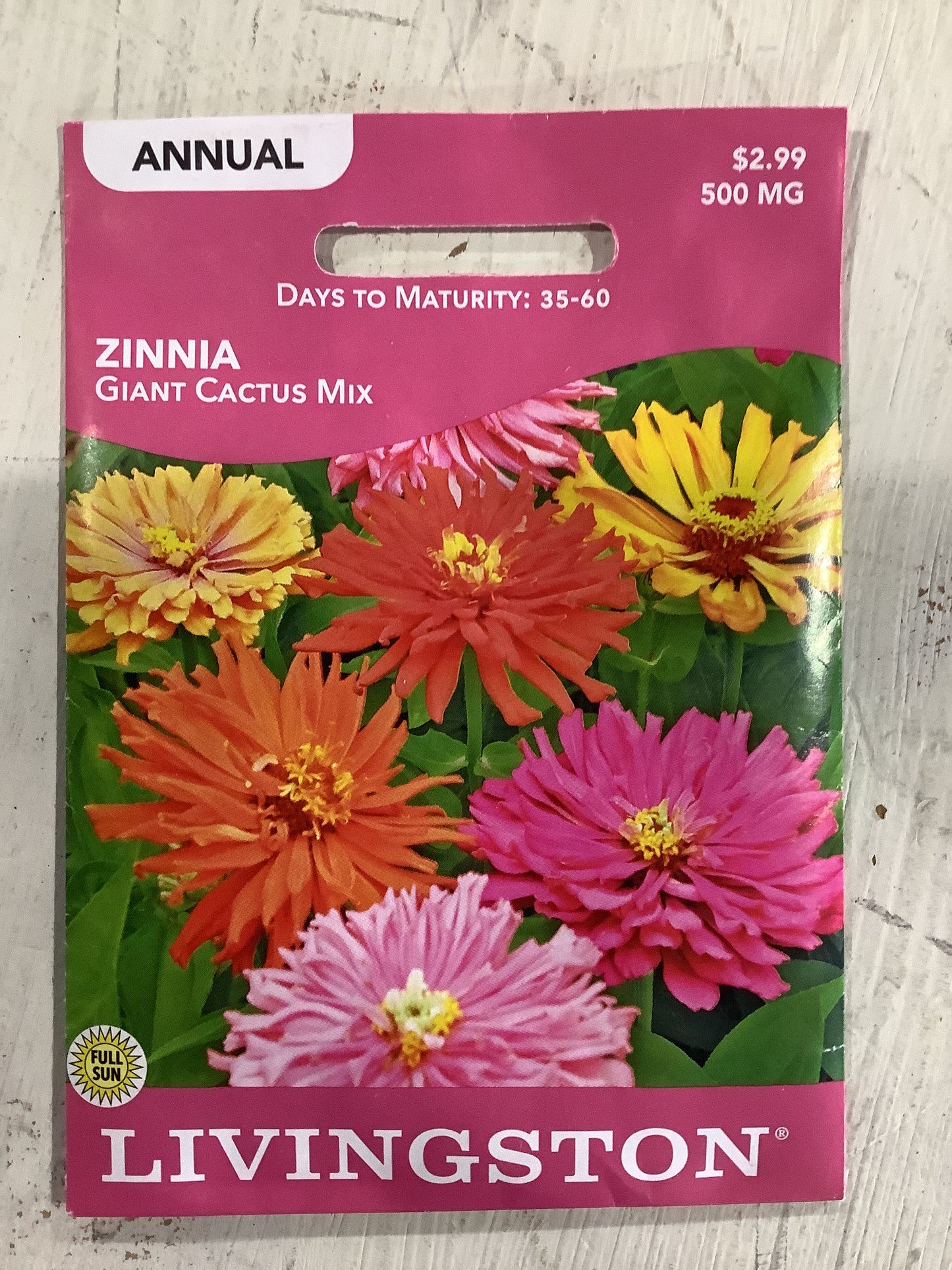 zinnia-Giant Cactus