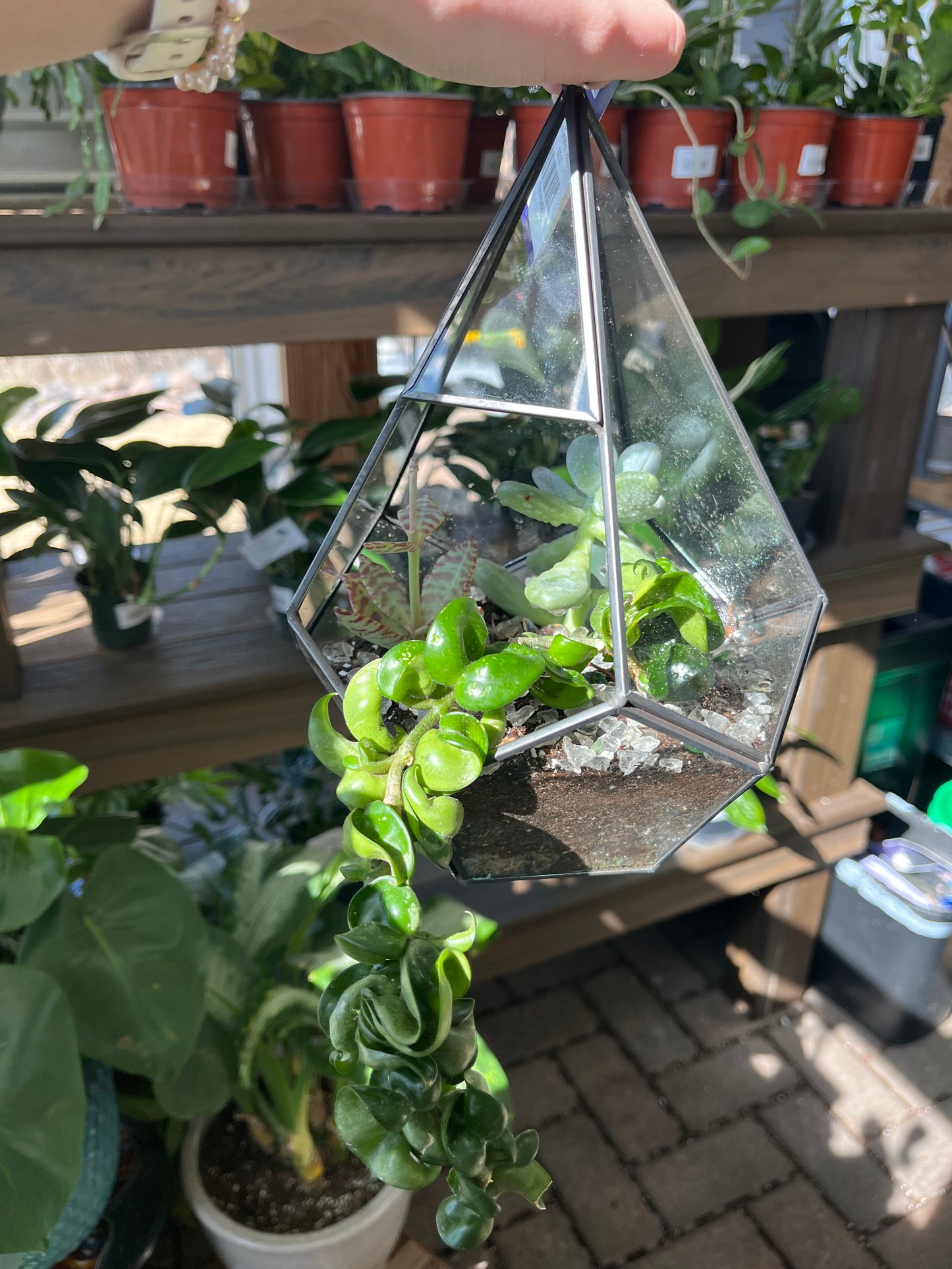 Glass Terrarium Teardrop