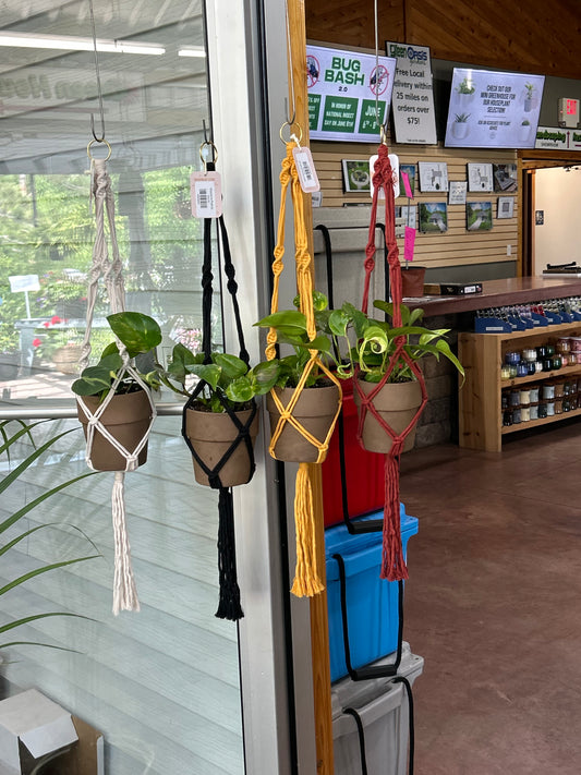 Macrame Pathos