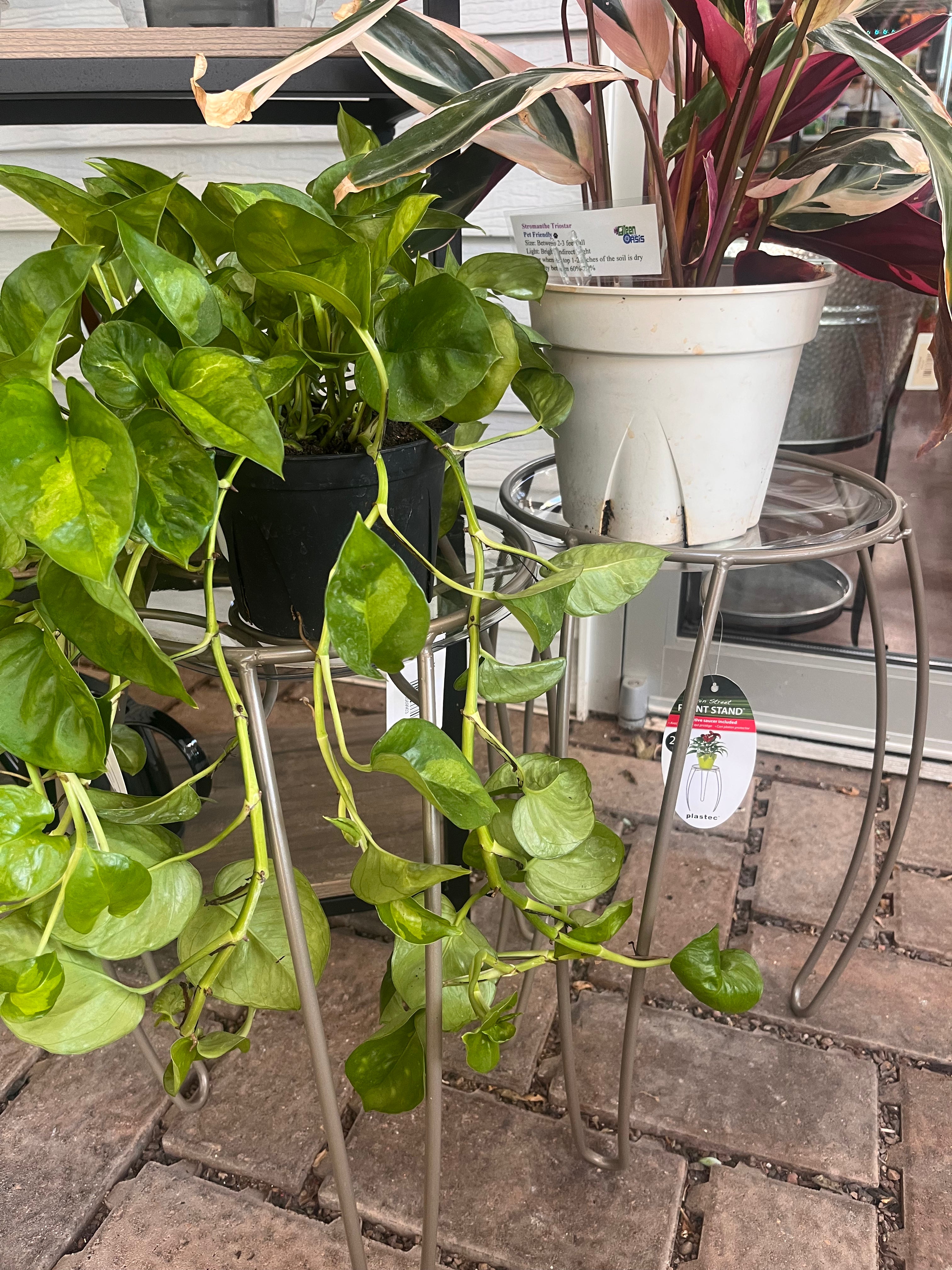 Main Street Plant Stand