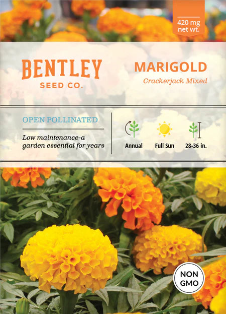 Bentley Seeds