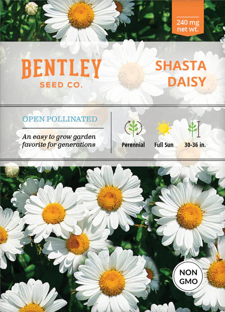 Bentley Seeds