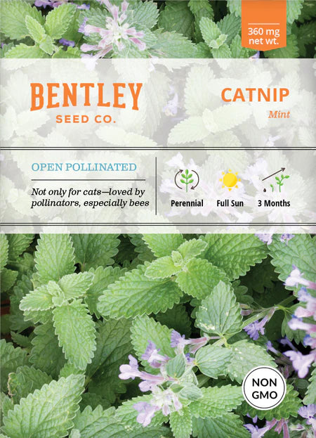 Bentley Seeds