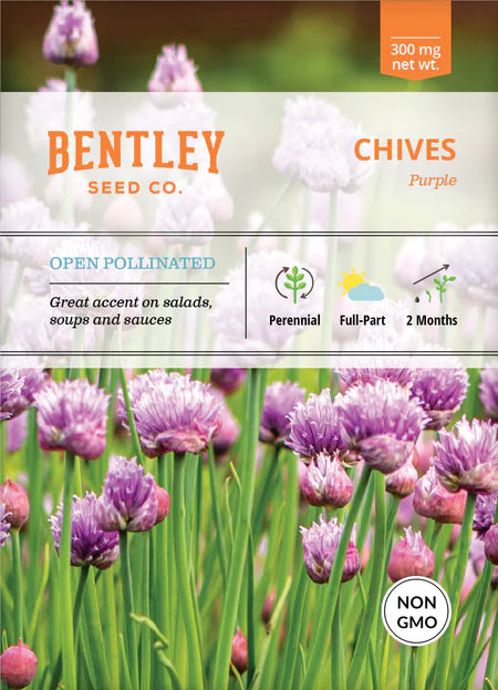Bentley Seeds