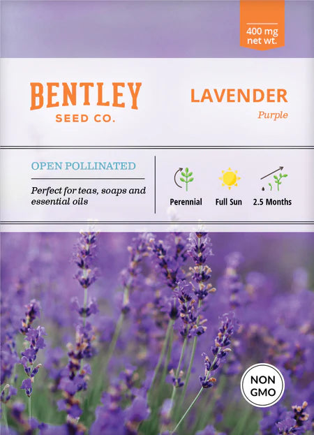 Bentley Seeds
