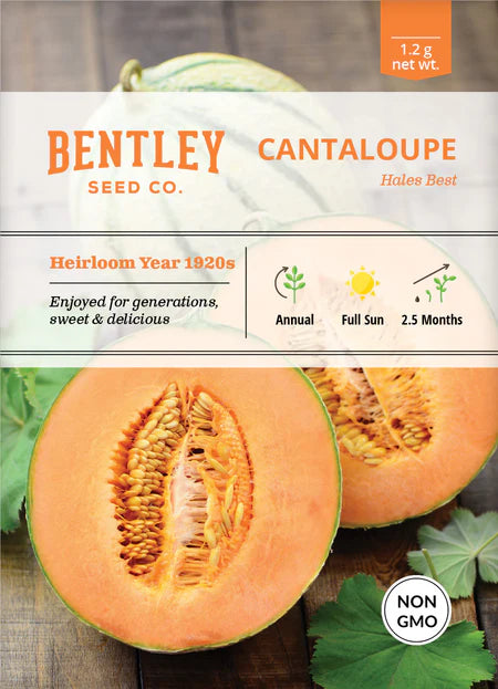 Bentley Seeds