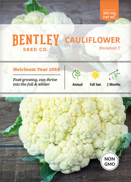 Bentley Seeds