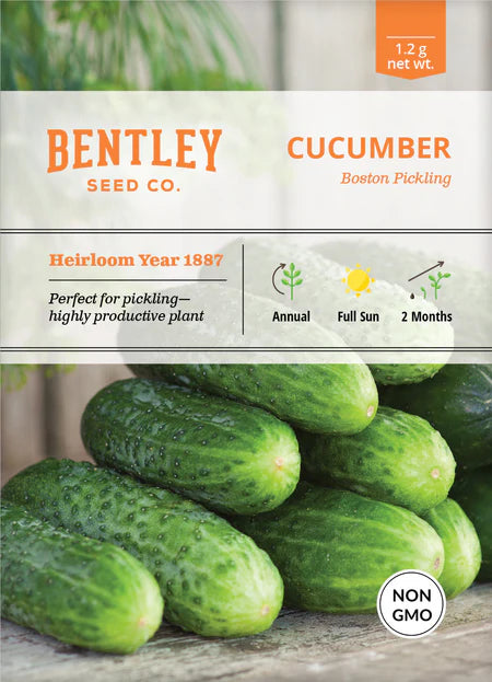 Bentley Seeds