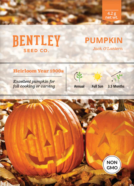 Bentley Seeds