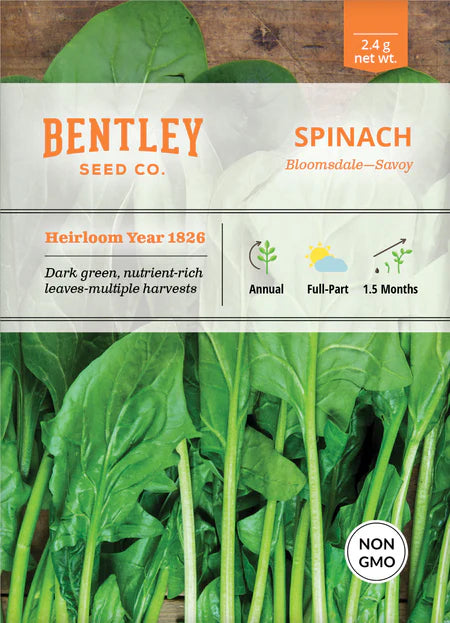 Bentley Seeds