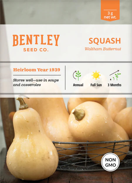 Bentley Seeds