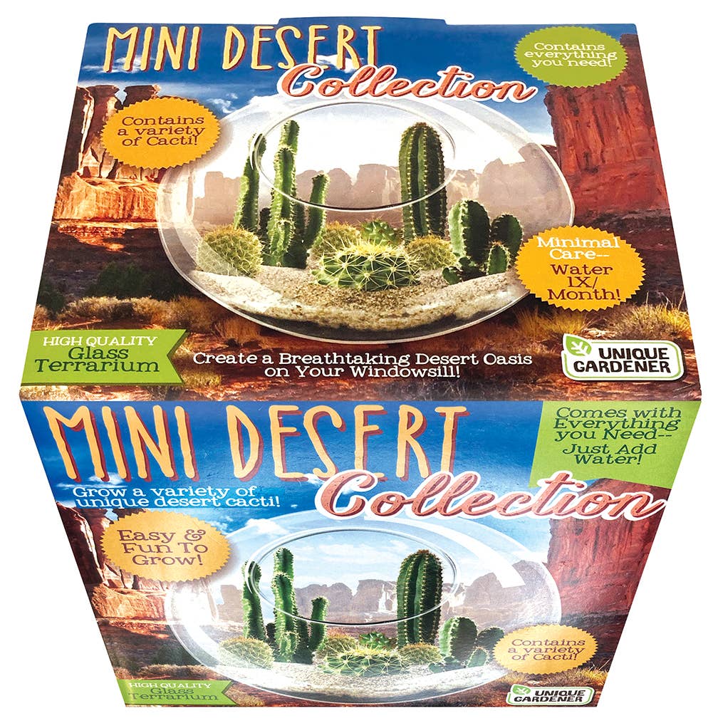 Mini Desert Cacti Kit