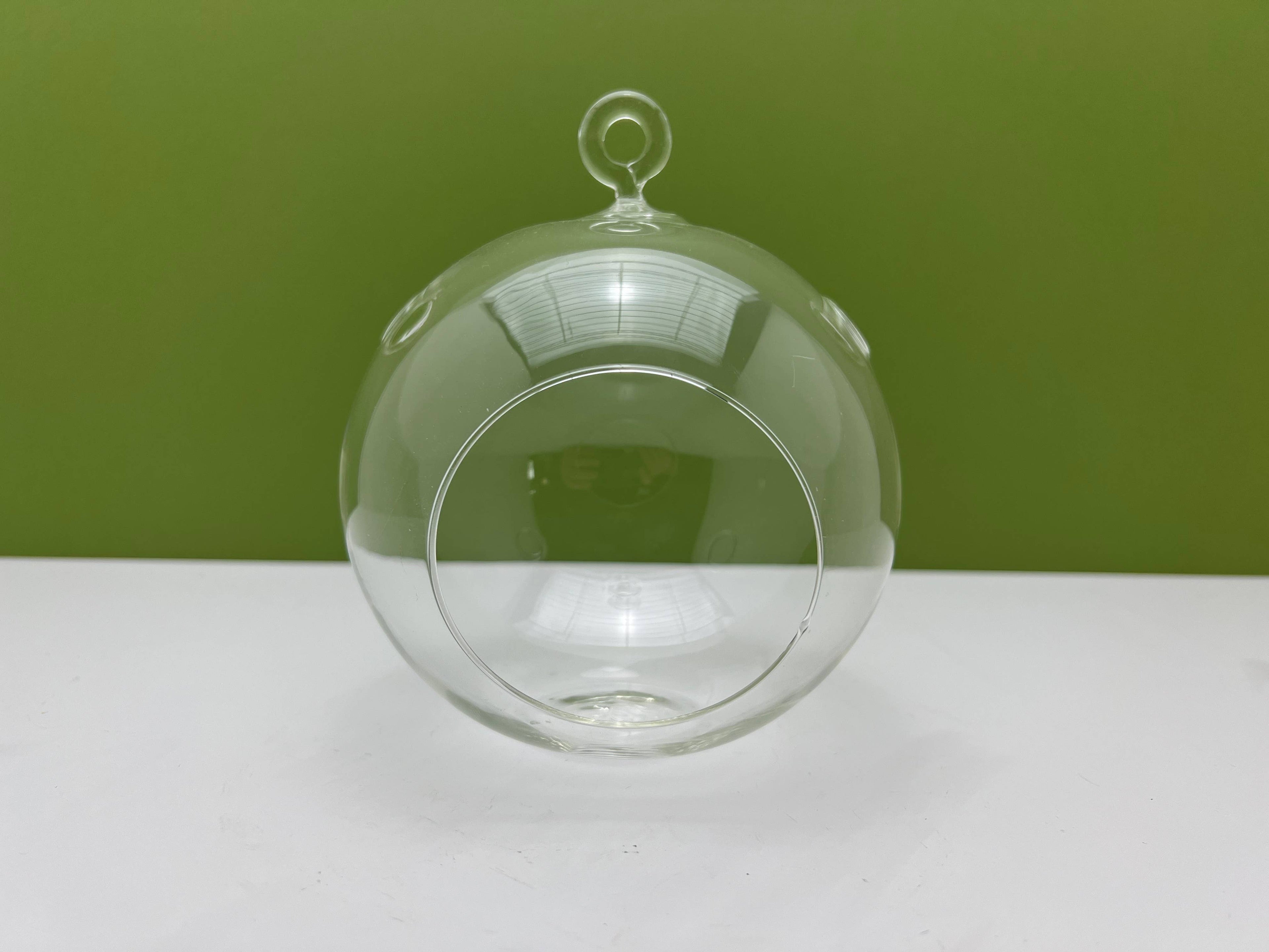 Round Glass Orb Terrarium Planter with Hanging Hook