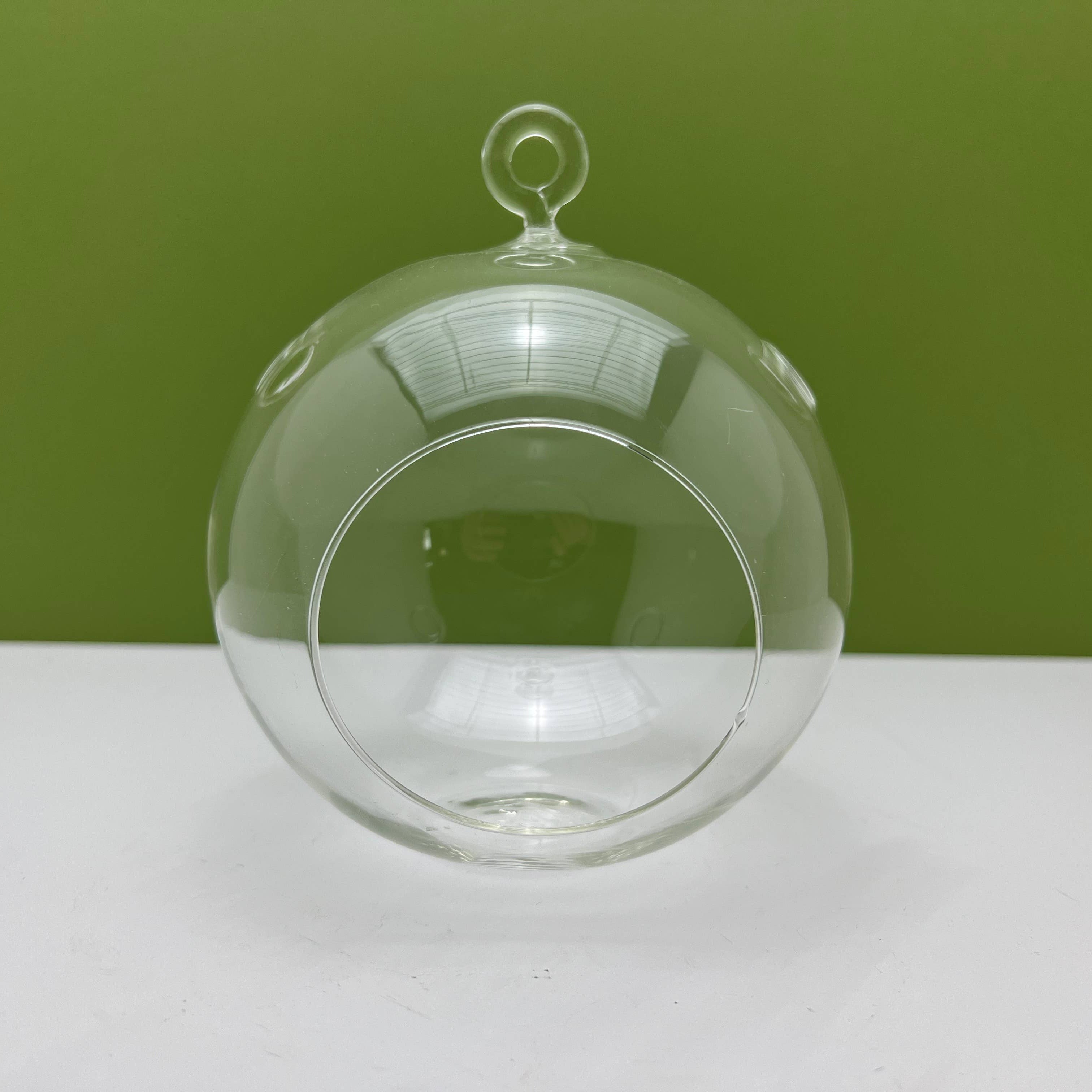 Round Glass Orb Terrarium Planter with Hanging Hook