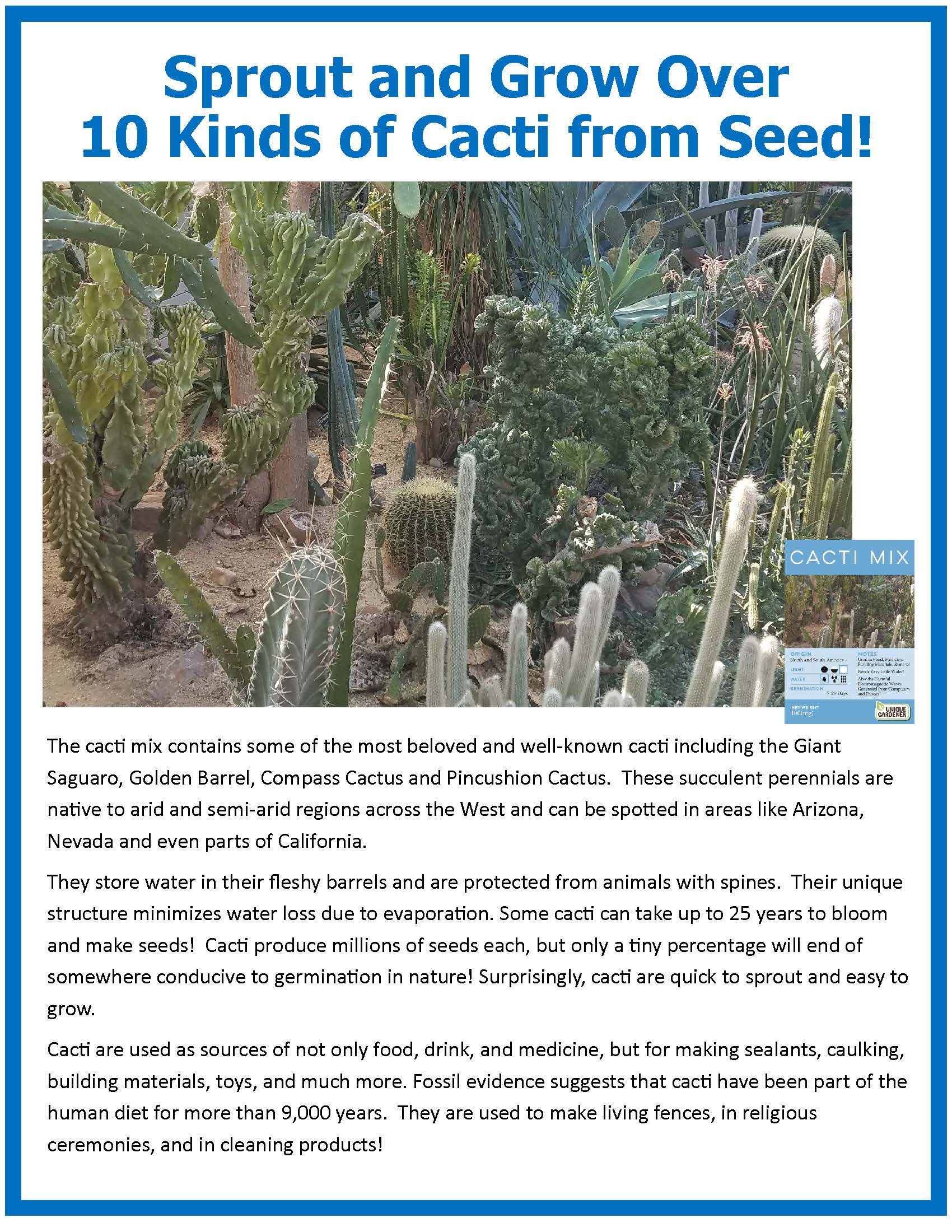 Mini Desert Cacti Kit