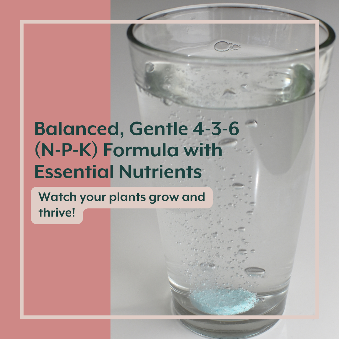 Soluble Houseplant Fertilizer