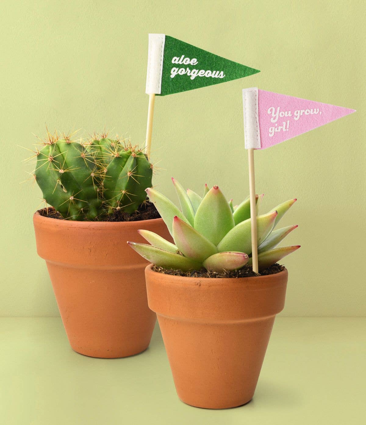 Rooting For You Plant Pennants