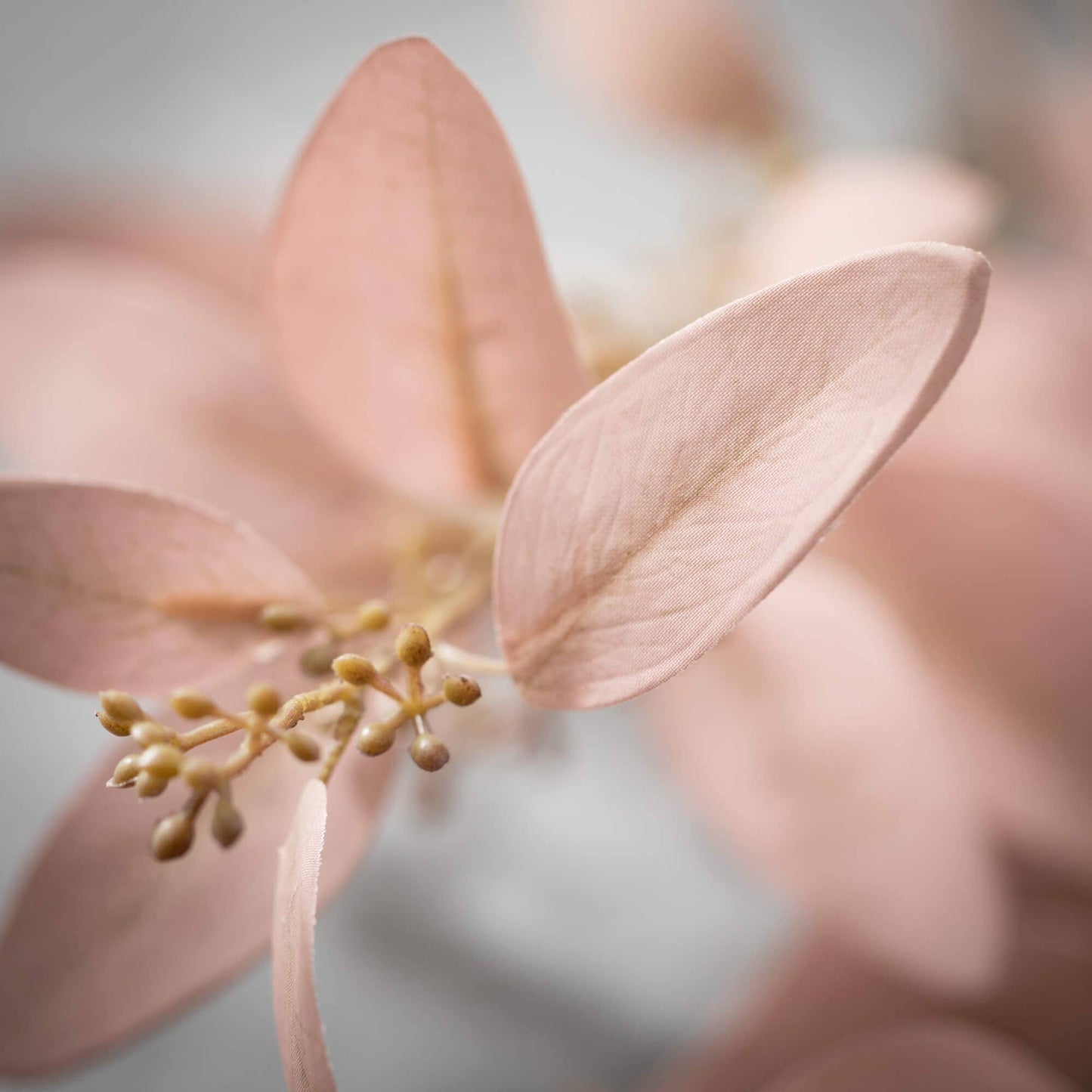 Soft Smoky Eucalyptus