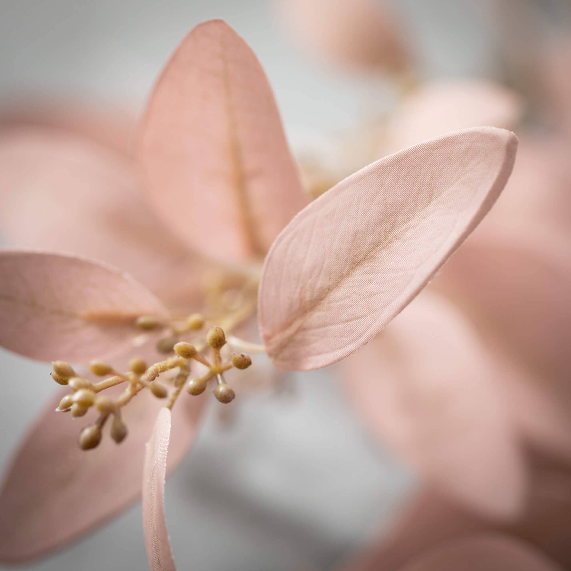 Soft Smoky Eucalyptus