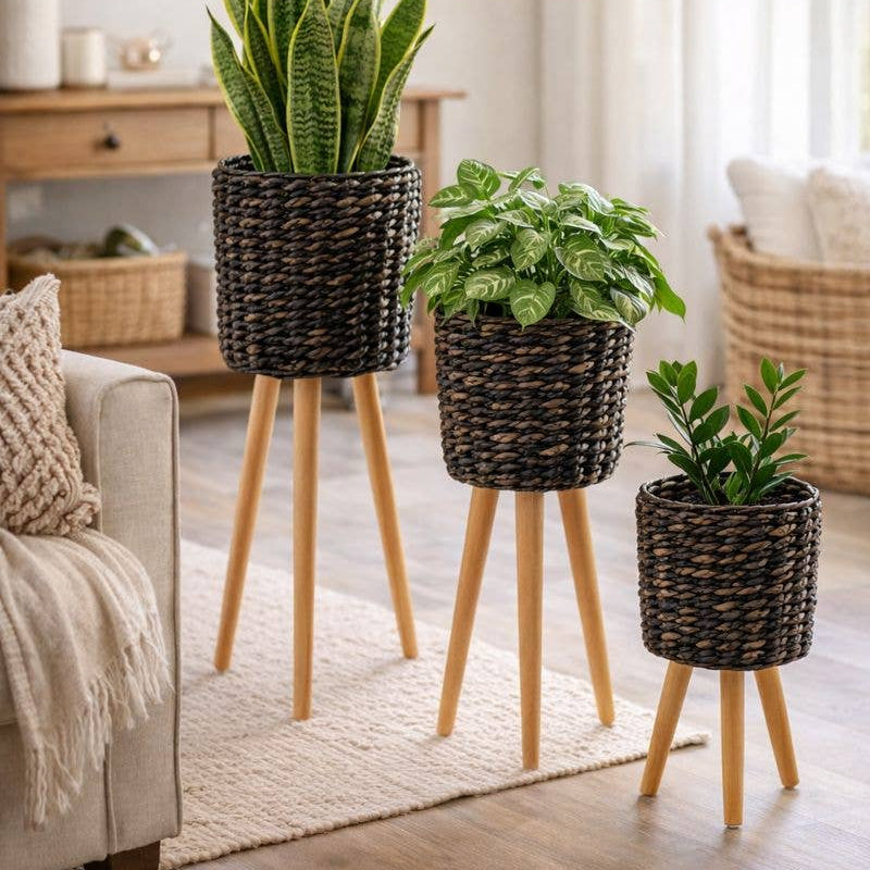 Dark Stain Plant Stand