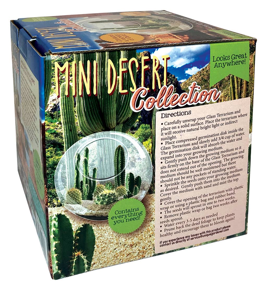 Mini Desert Cacti Kit