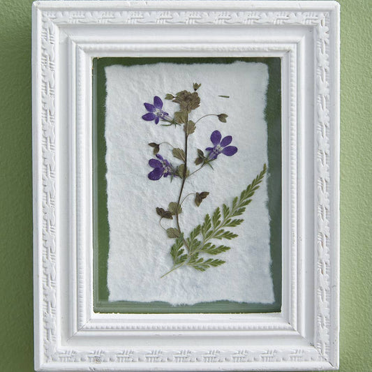 Pressed Violets Wall Decor