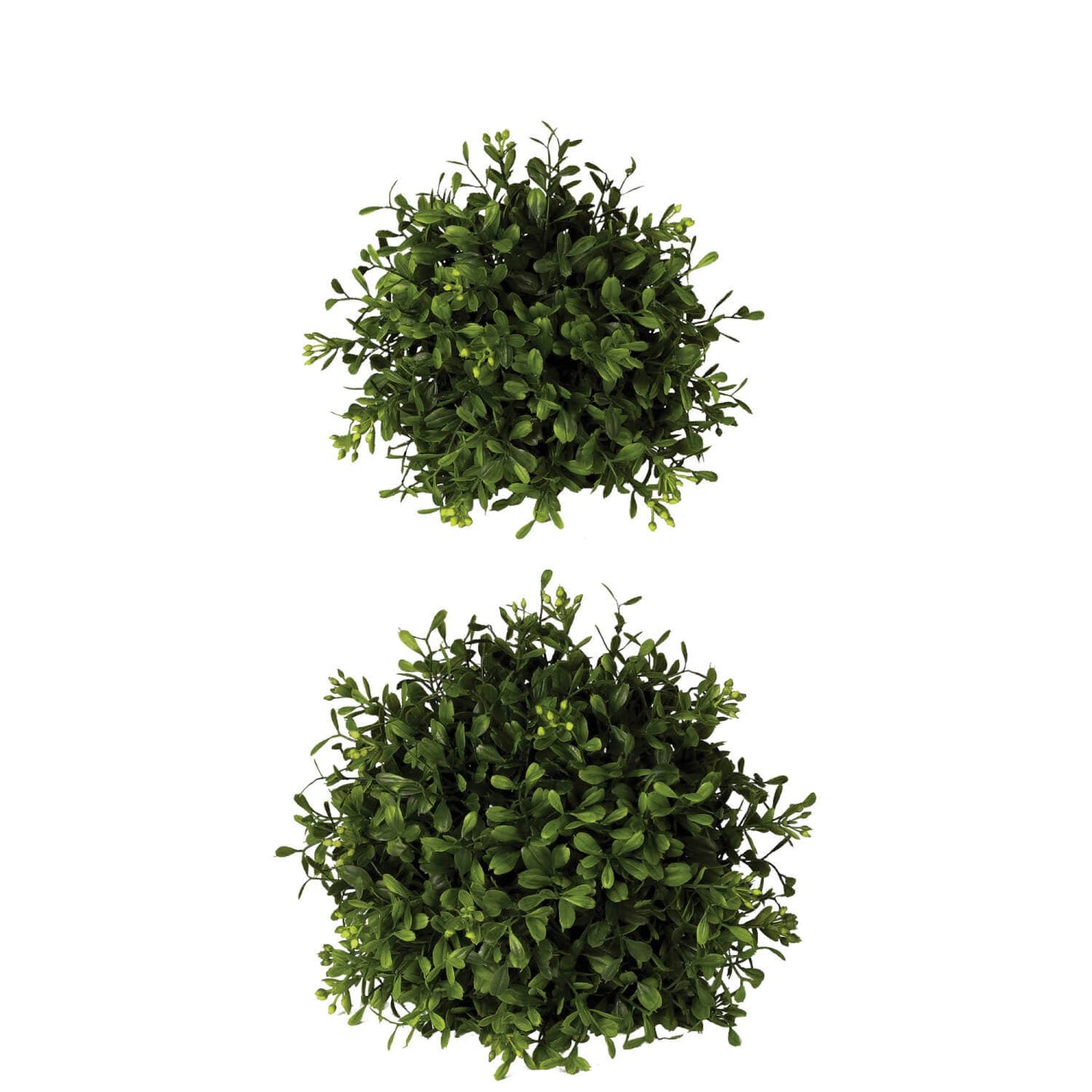 Boxwood Spheres