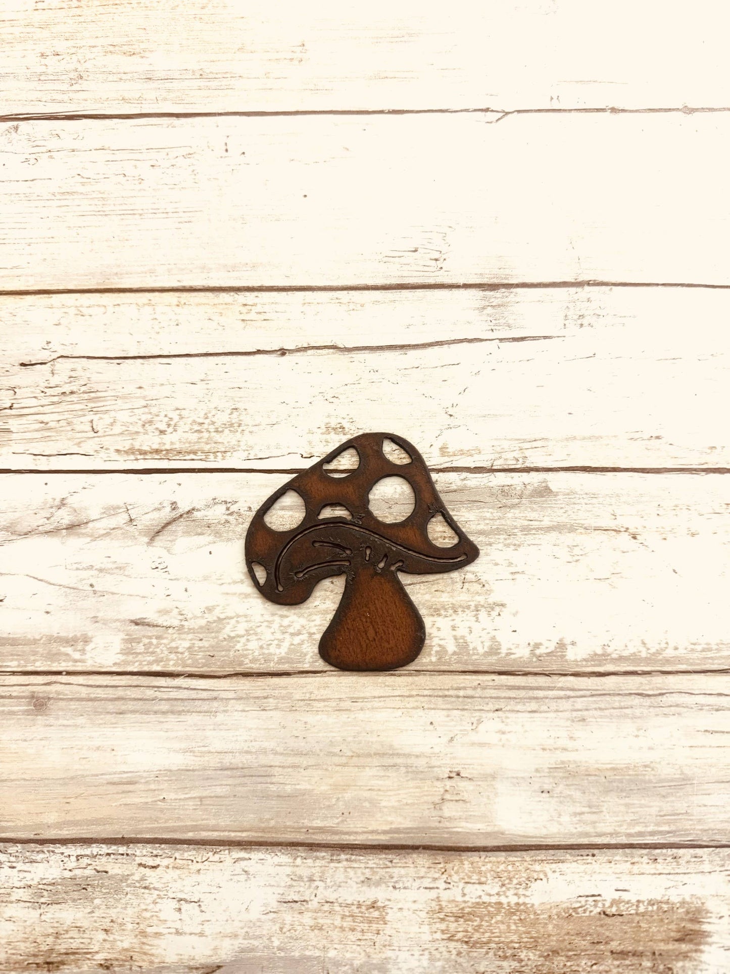 Mushroom Magnet