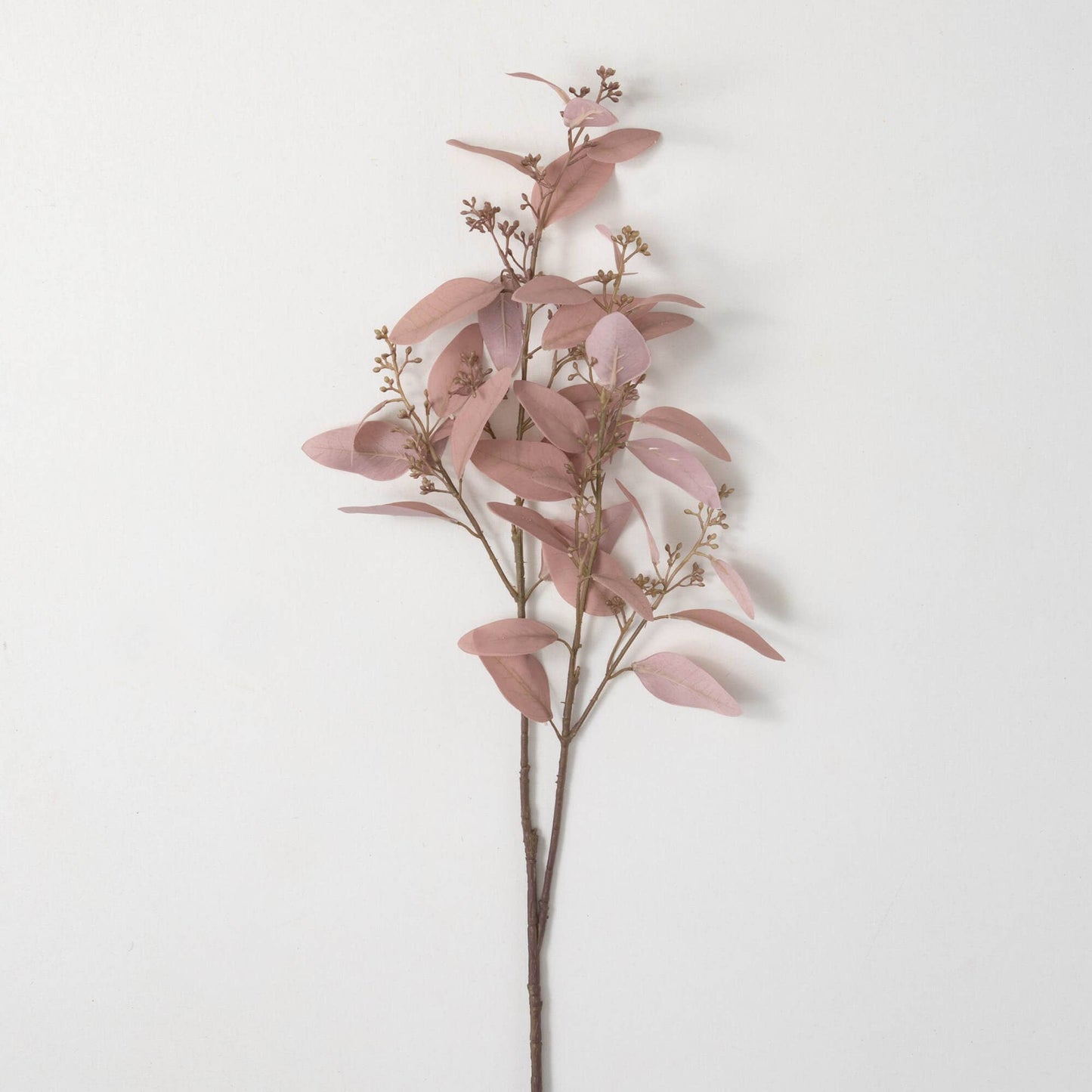 Soft Smoky Eucalyptus