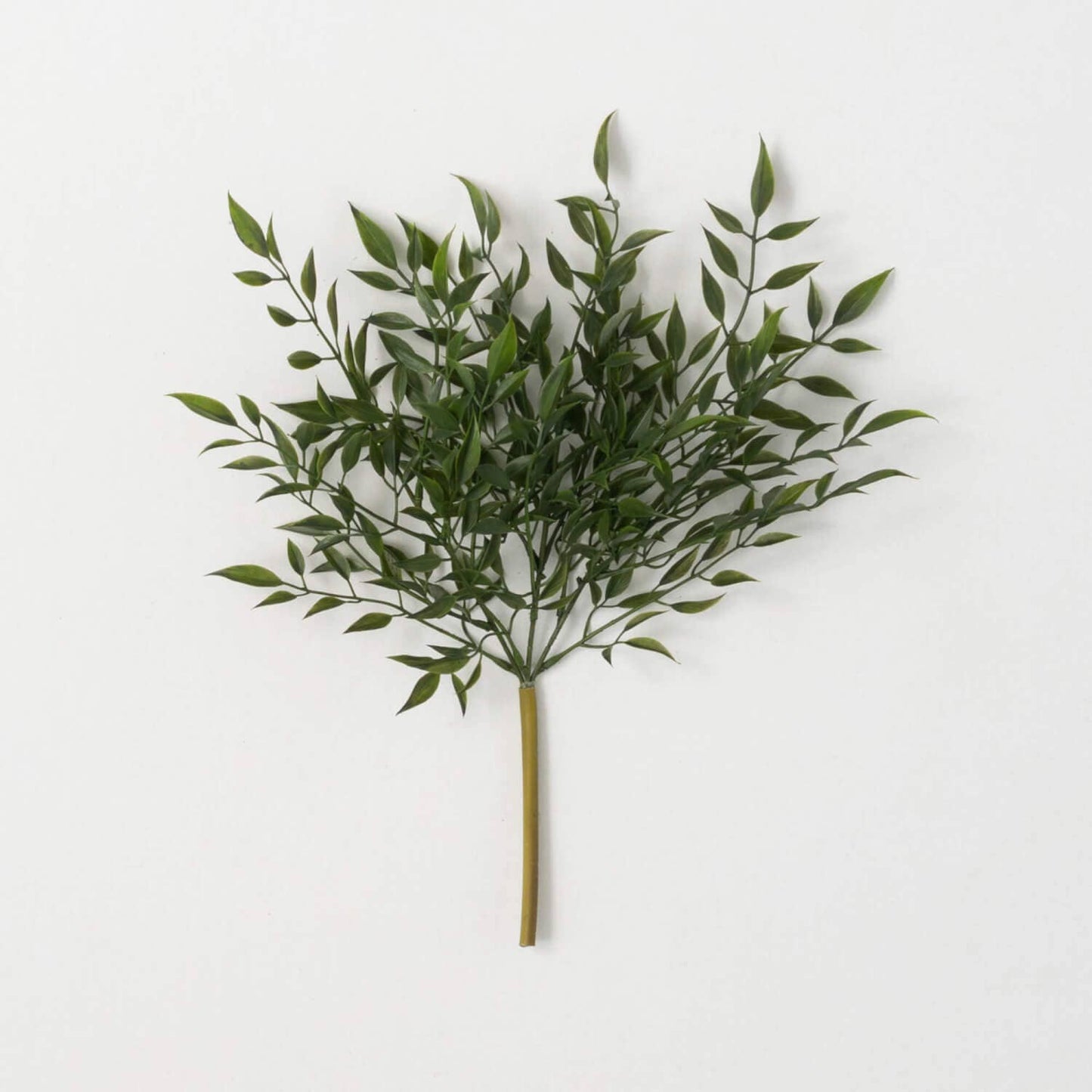 Ruscus Bush Stem