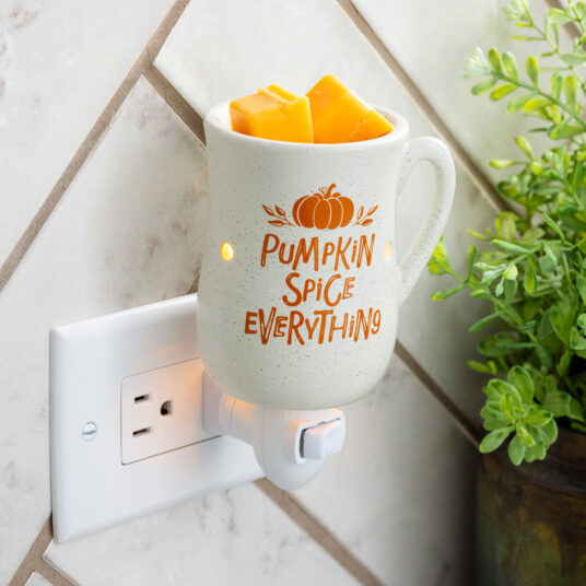 Pumpkin Spice Warmer Plug In