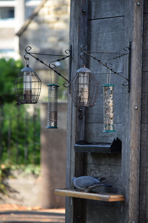 House Plant Accessories