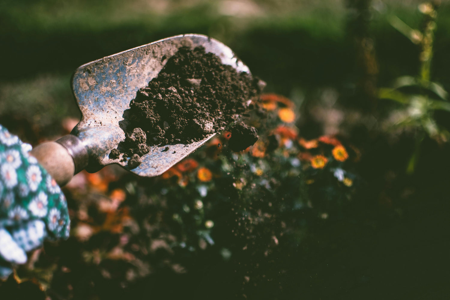 Treatment/Soil Additives