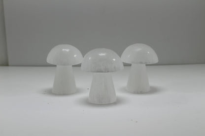 Selenite Mushroom White