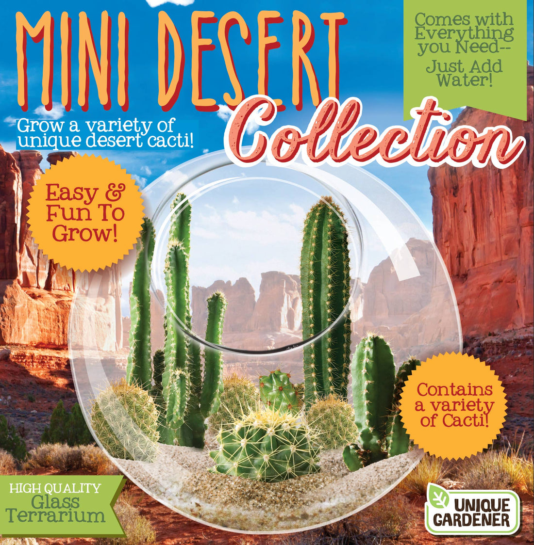 Mini Desert Cacti Kit