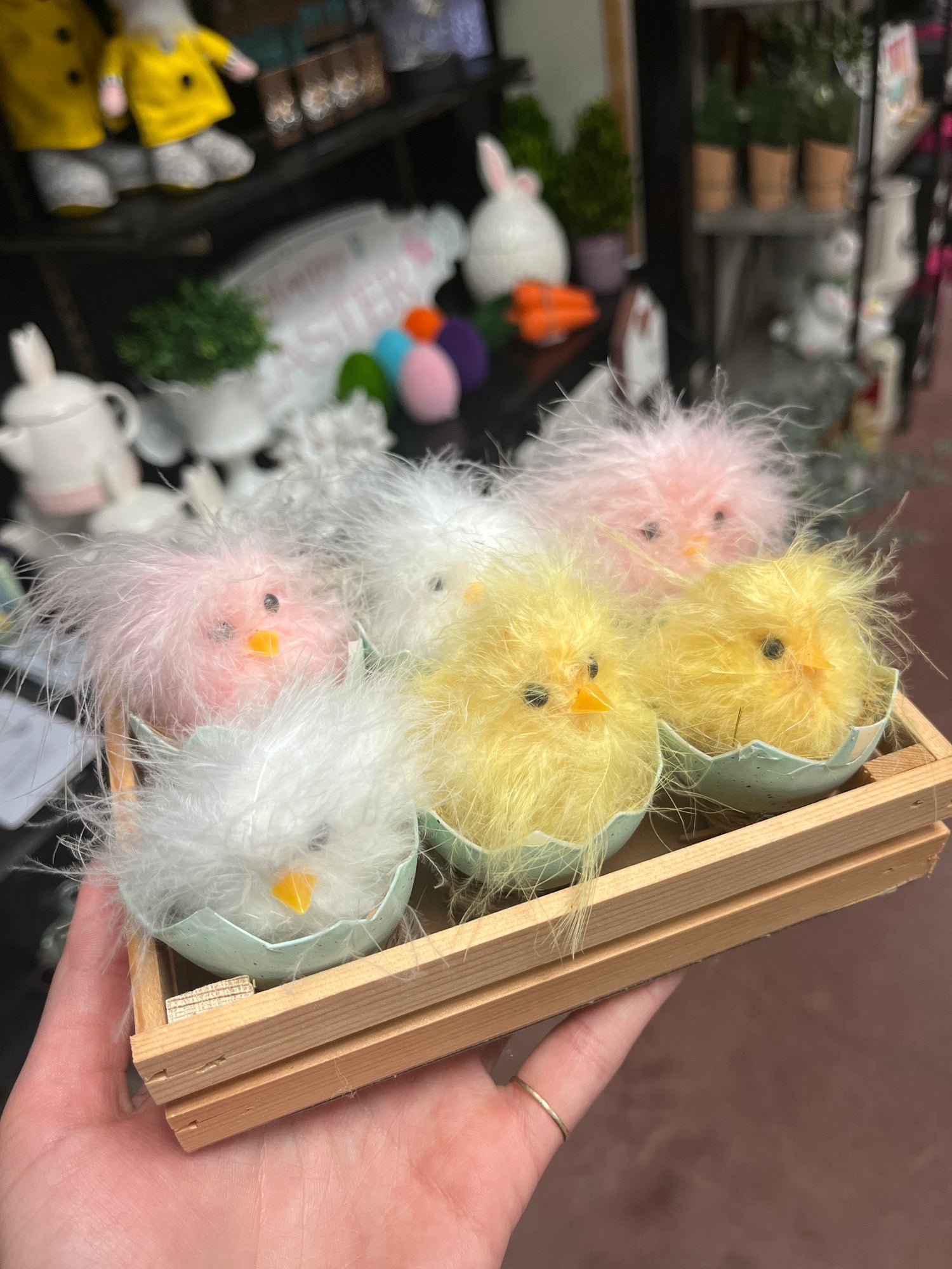 Feathered Hatching Chick Set