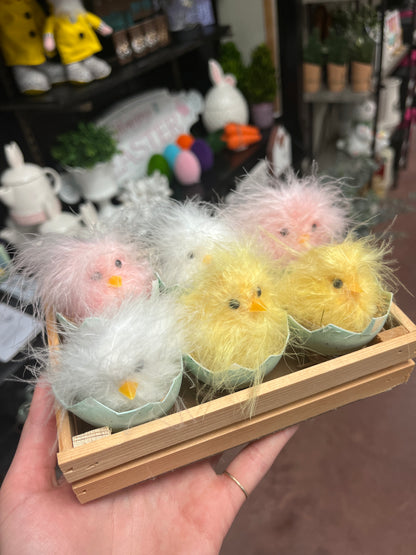 Feathered Hatching Chick Set