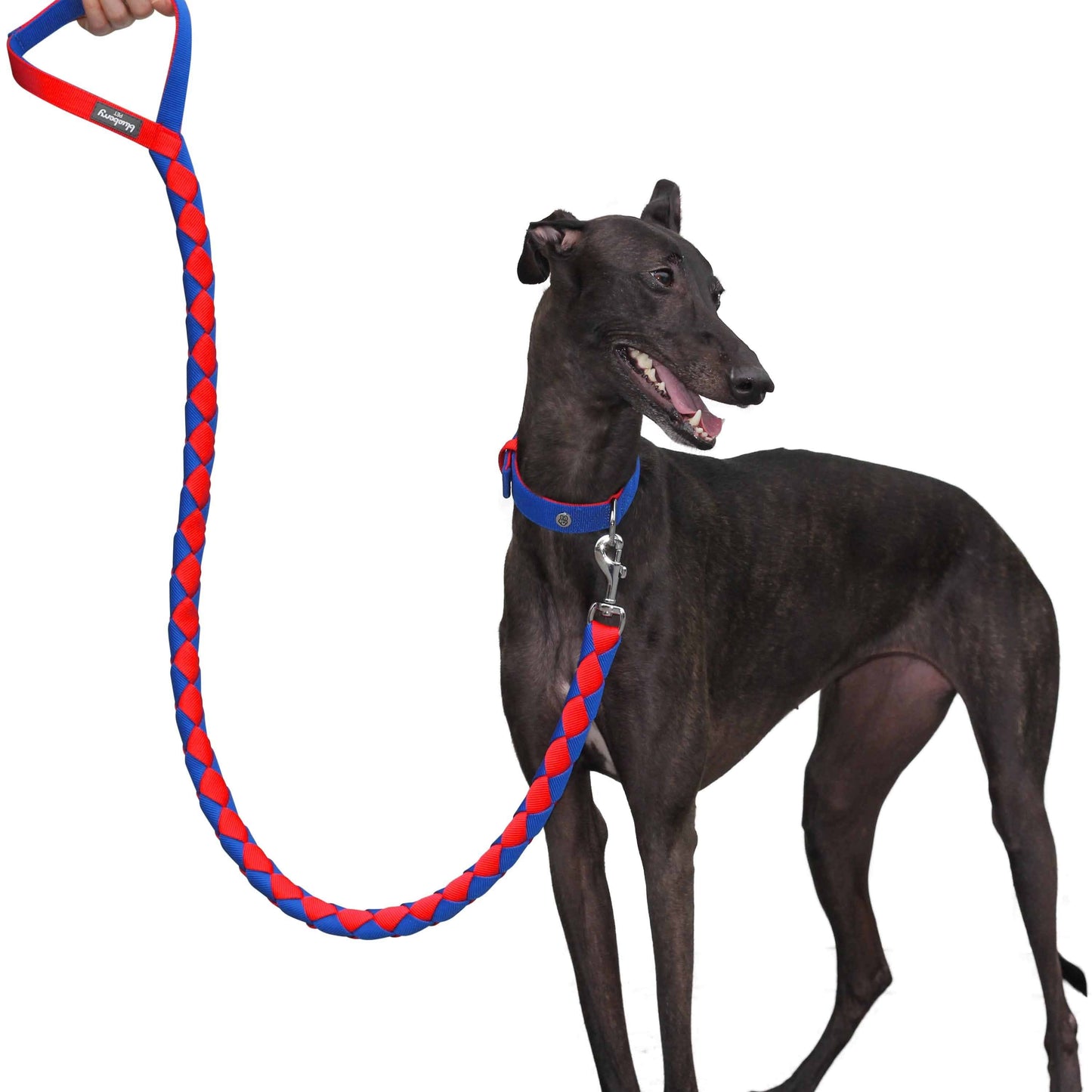 Hand Braided Dog Leash