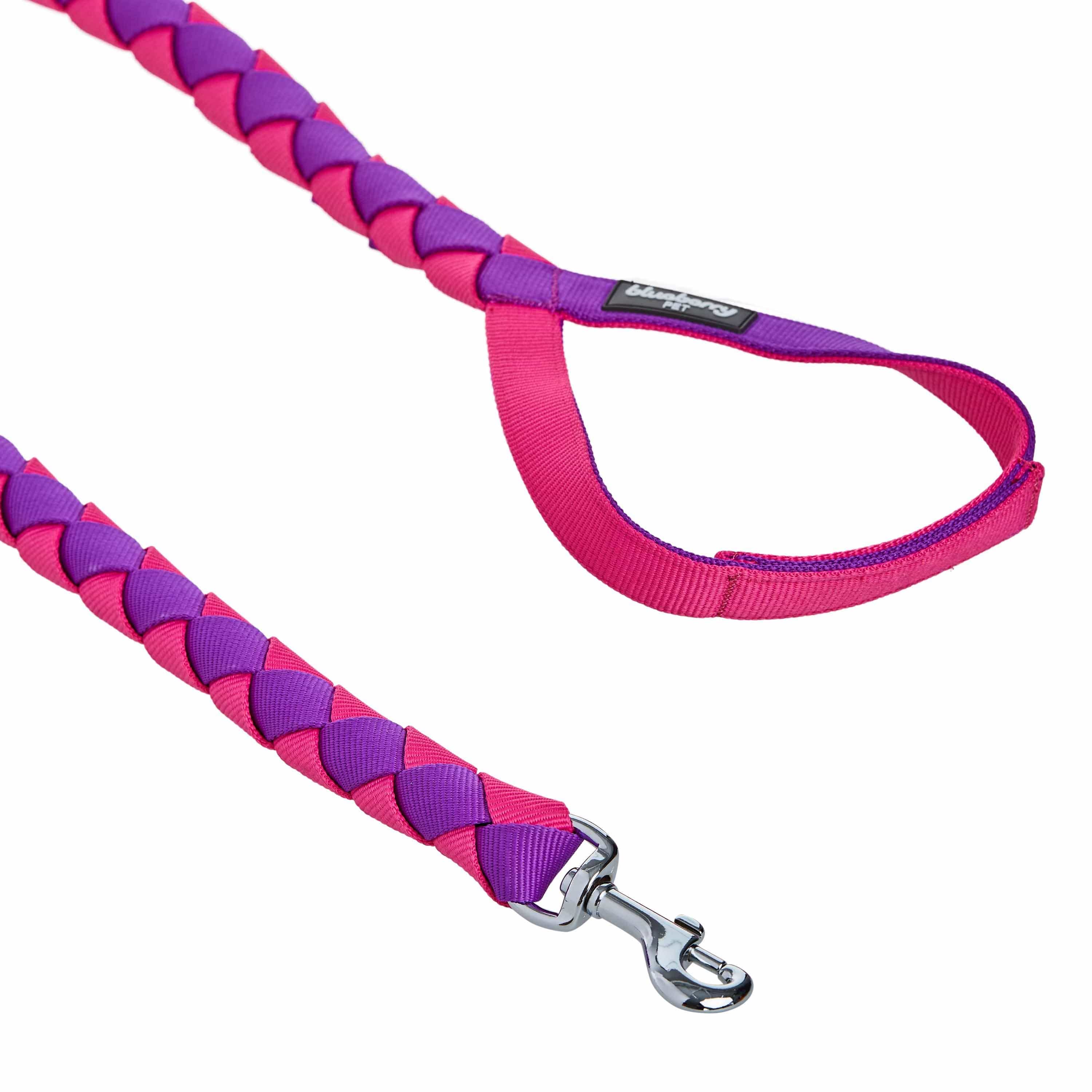 Hand Braided Dog Leash