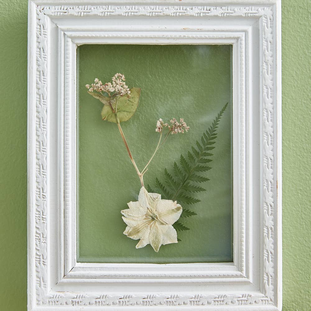 Pressed Buckwheat &amp; Larkspur Wall Decor