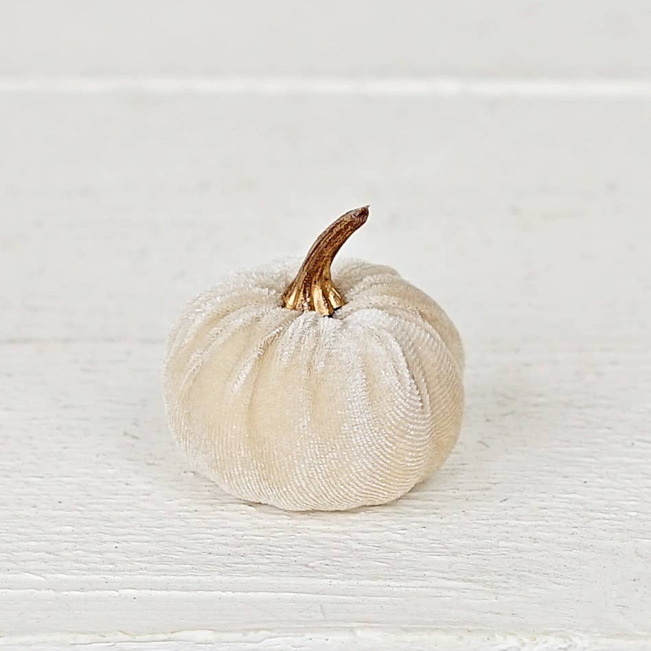 S/6 Beige Velvet Pumpkins