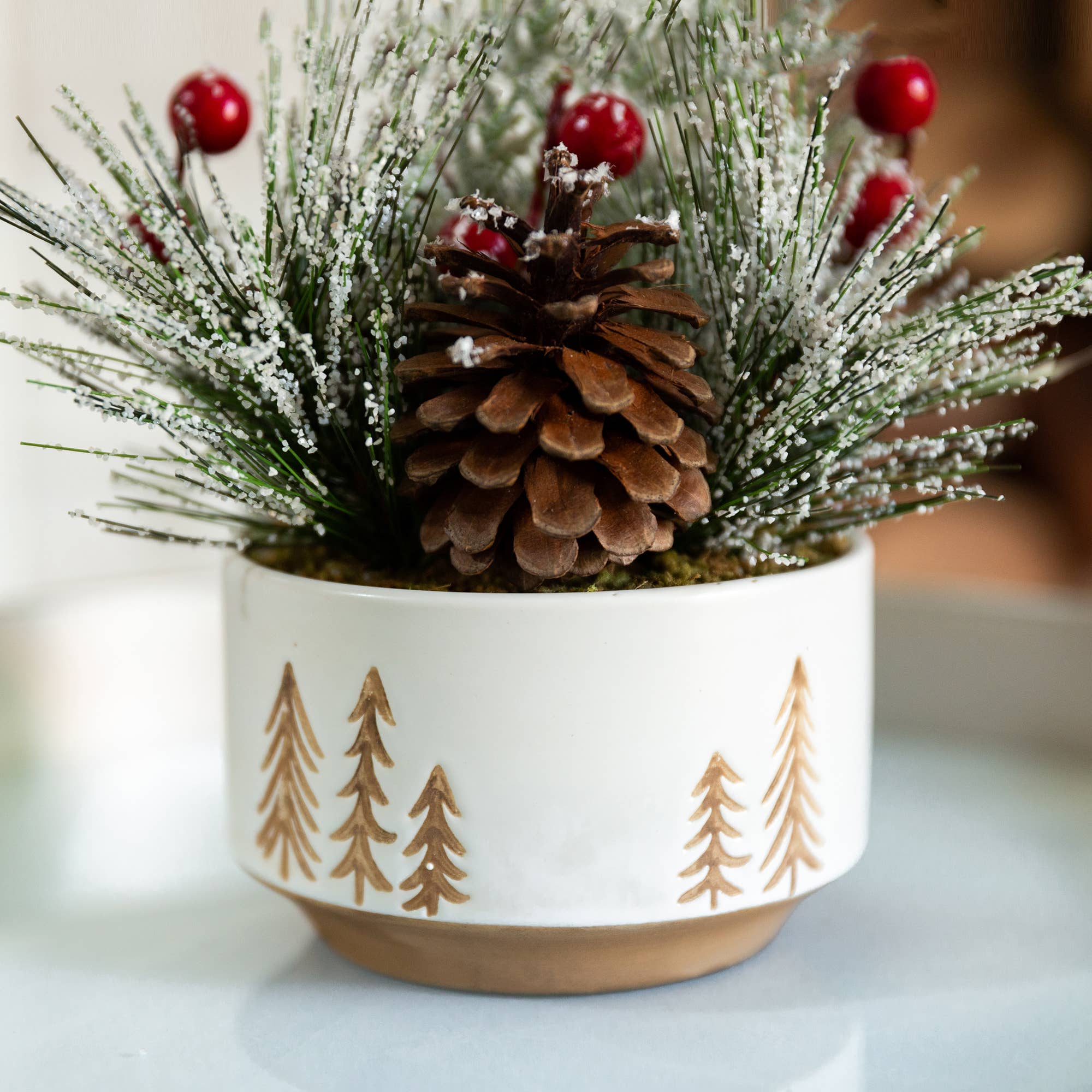 Christmas Greens w/ Pot