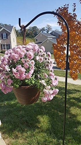 Shepherd Hook - 65 Inches