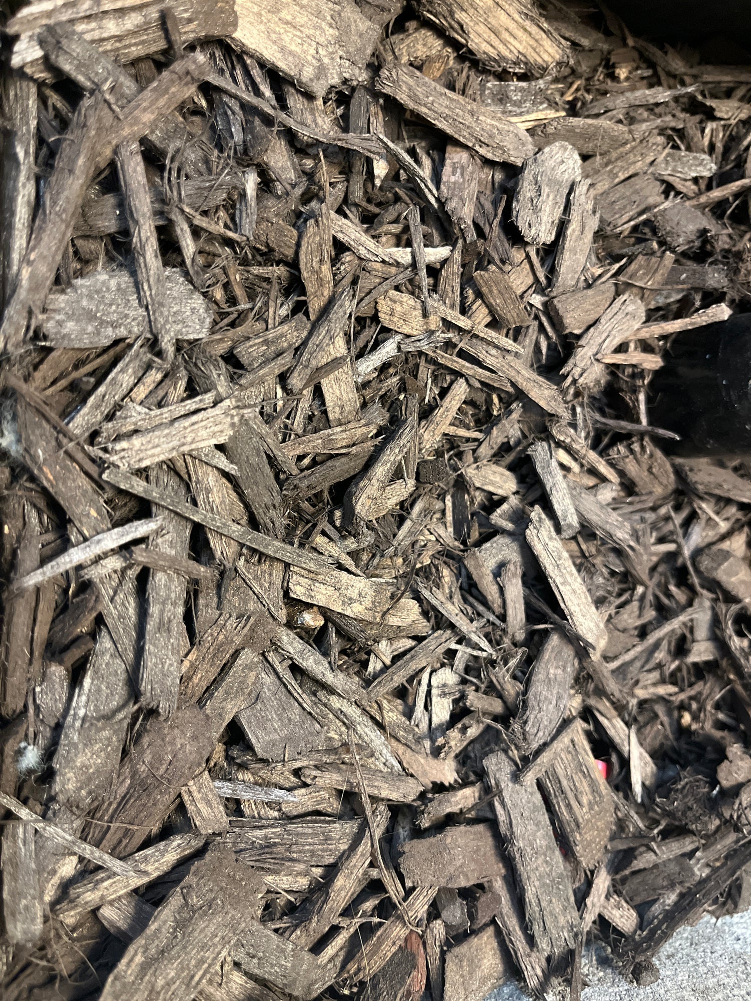 Chocolate Mulch