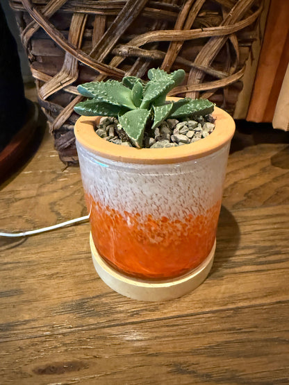 Self-Watering LED Planter