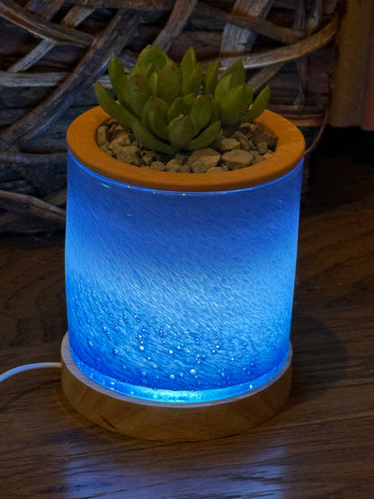 Self-Watering LED Planter