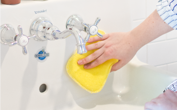 Sponge Euroscrubby
