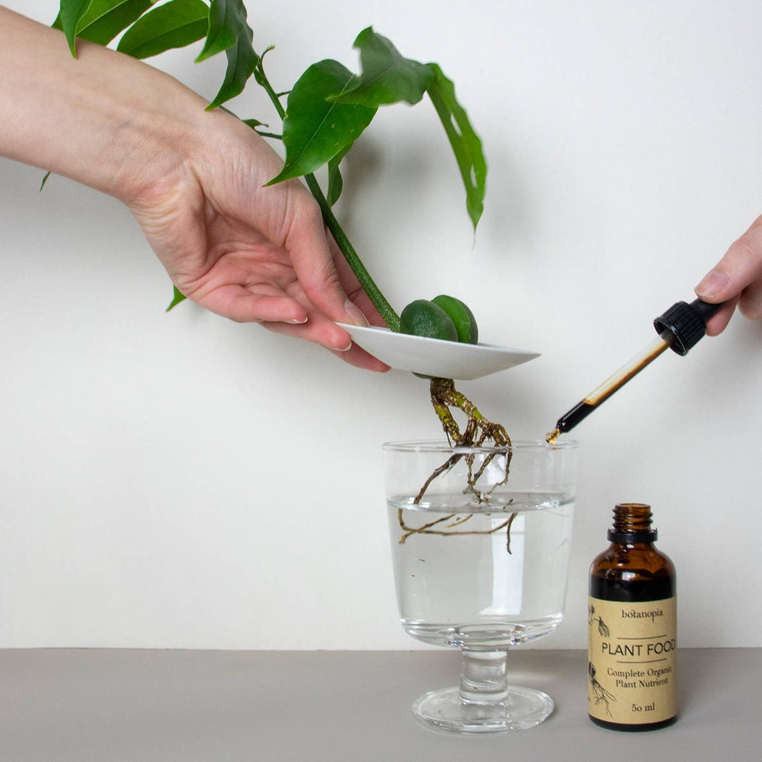 Complete Organic Plant Food Dropper Bottle