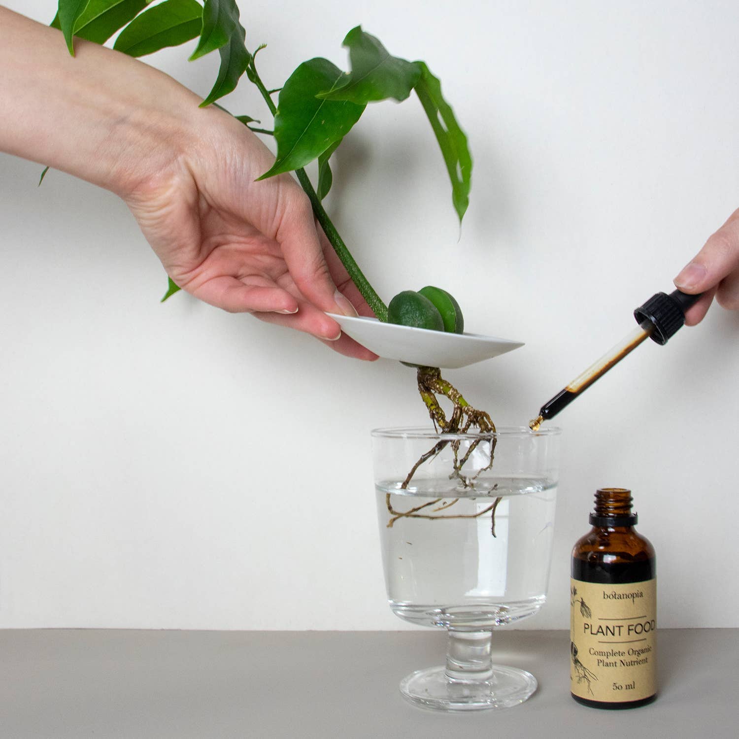 Complete Organic Plant Food Dropper Bottle