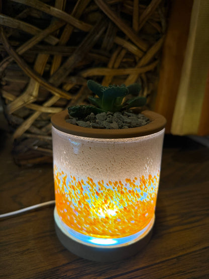 Self-Watering LED Planter